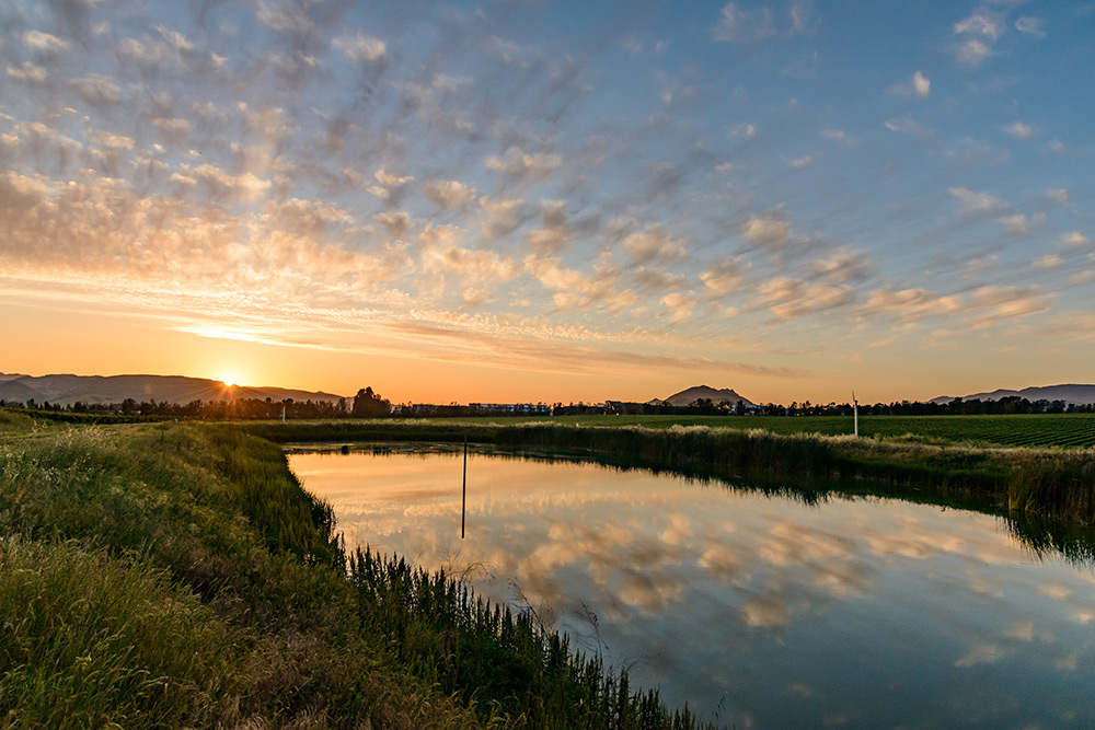 Water irrigation pond at sunset