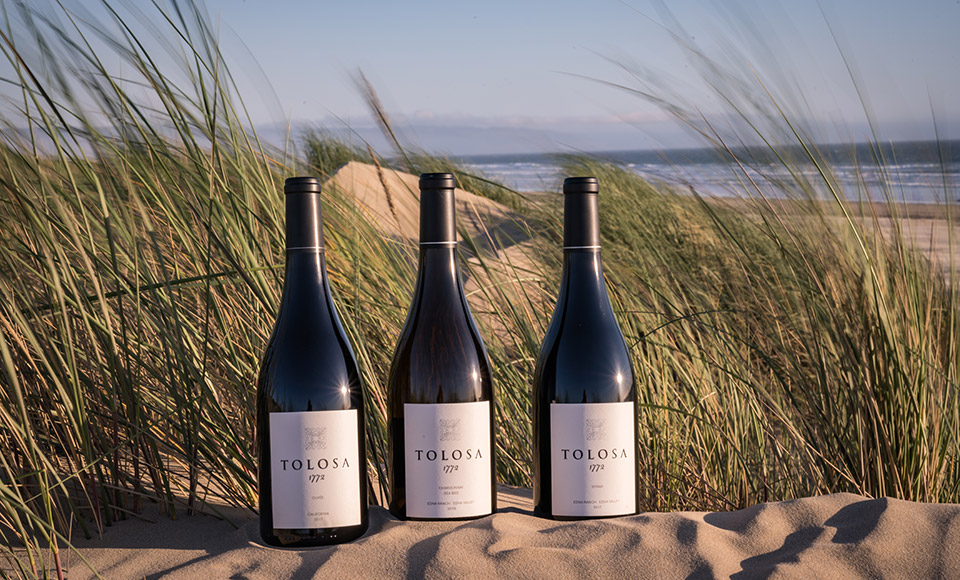 1772 Wine Bottles Placed in the Sand on The Beach