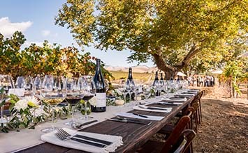 Moretti Canyon Big Bottle Luncheon