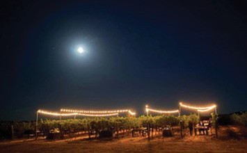 Winemaker Dinner under the Moon & Stars