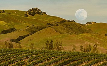 Winemaker Dinner, Under the Full Moon & Stars