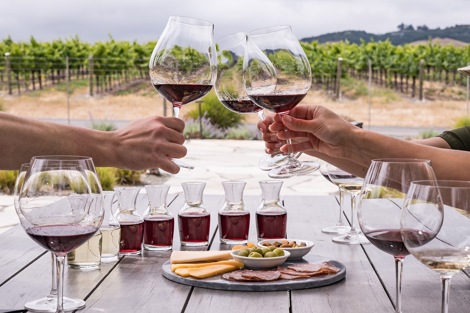 wine tasting class miami university - Cherrie Alba