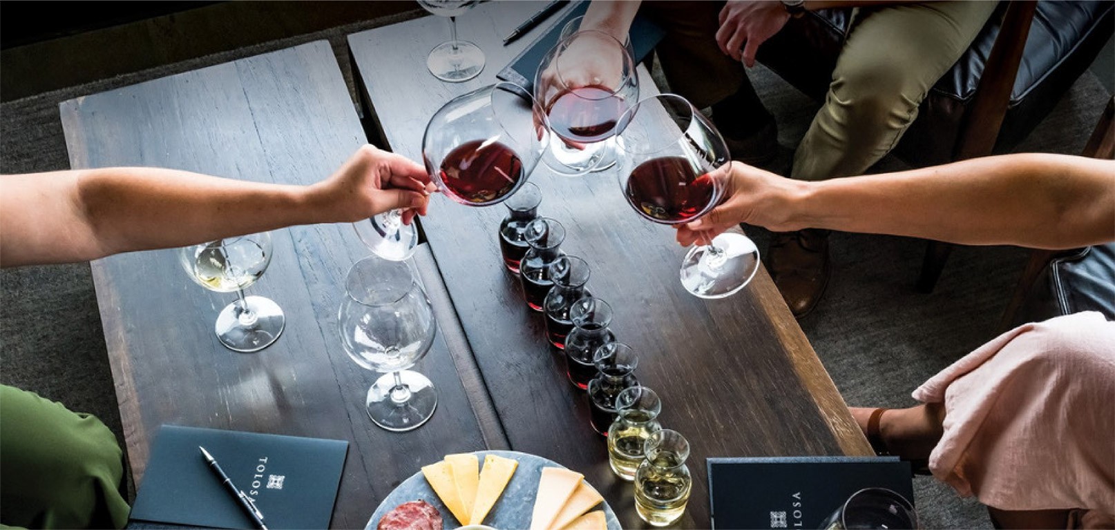 Image of cheese plate and a cheers with wine