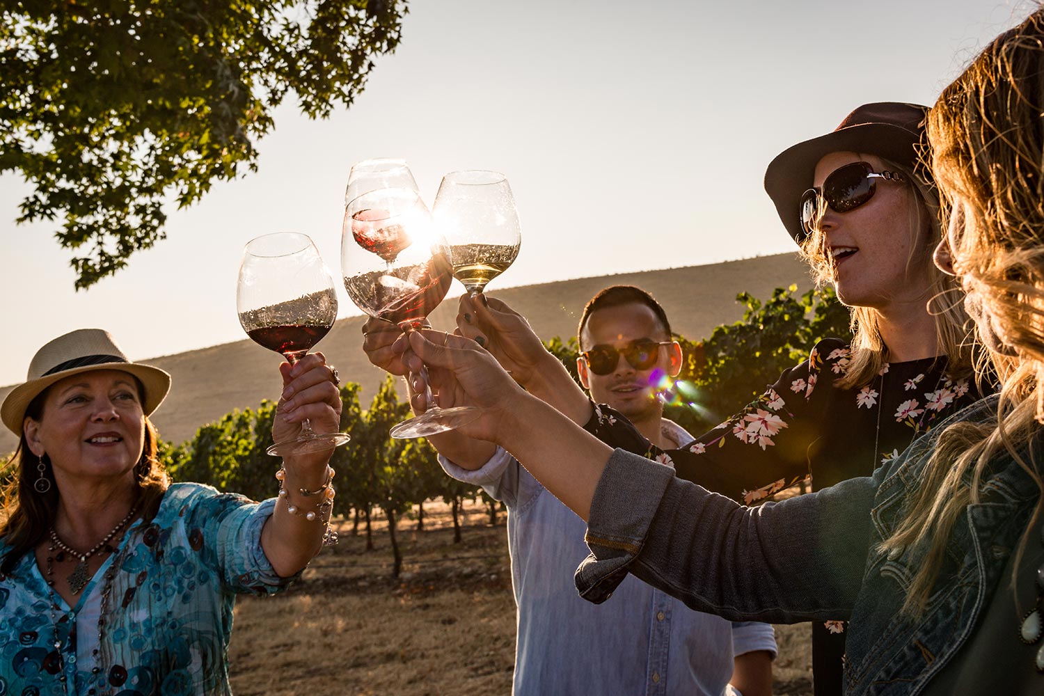 Four people clinking glasses of wine in the sunlight