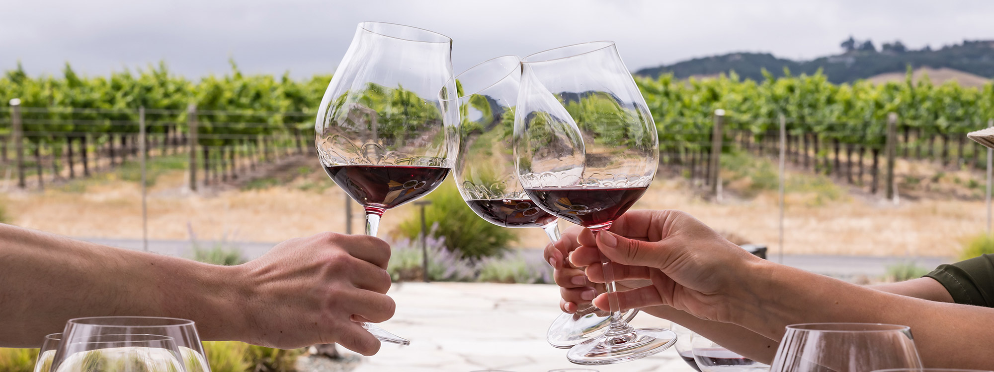 Three glasses of Pinot Noir clinking in front of the vineyard