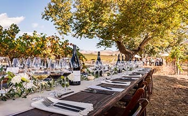 Moretti Canyon Big Bottle Luncheon