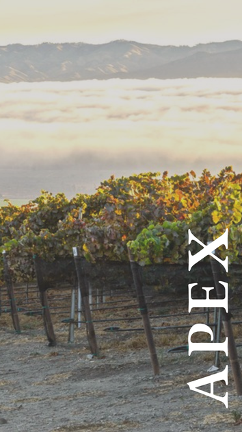 Apex Vineyard 2024 3pk