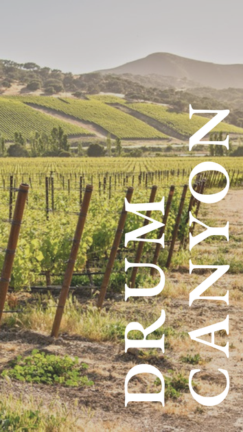 Drum Canyon Vineyard 2024 3pk
