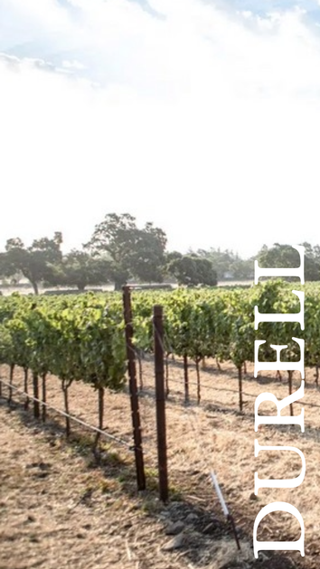Durell Vineyard 2024 3pk