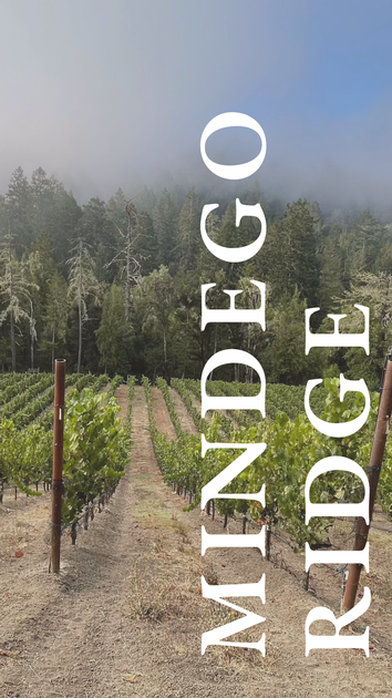 Mindego Ridge Vineyard 2024 3pk