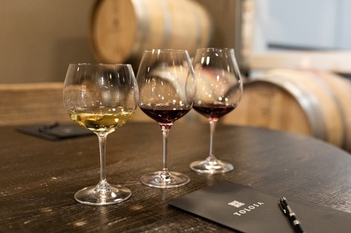 Private Futures Tasting Experience at Tolosa