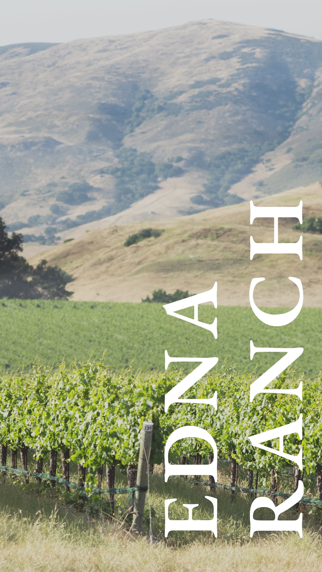 Edna Ranch Vineyard