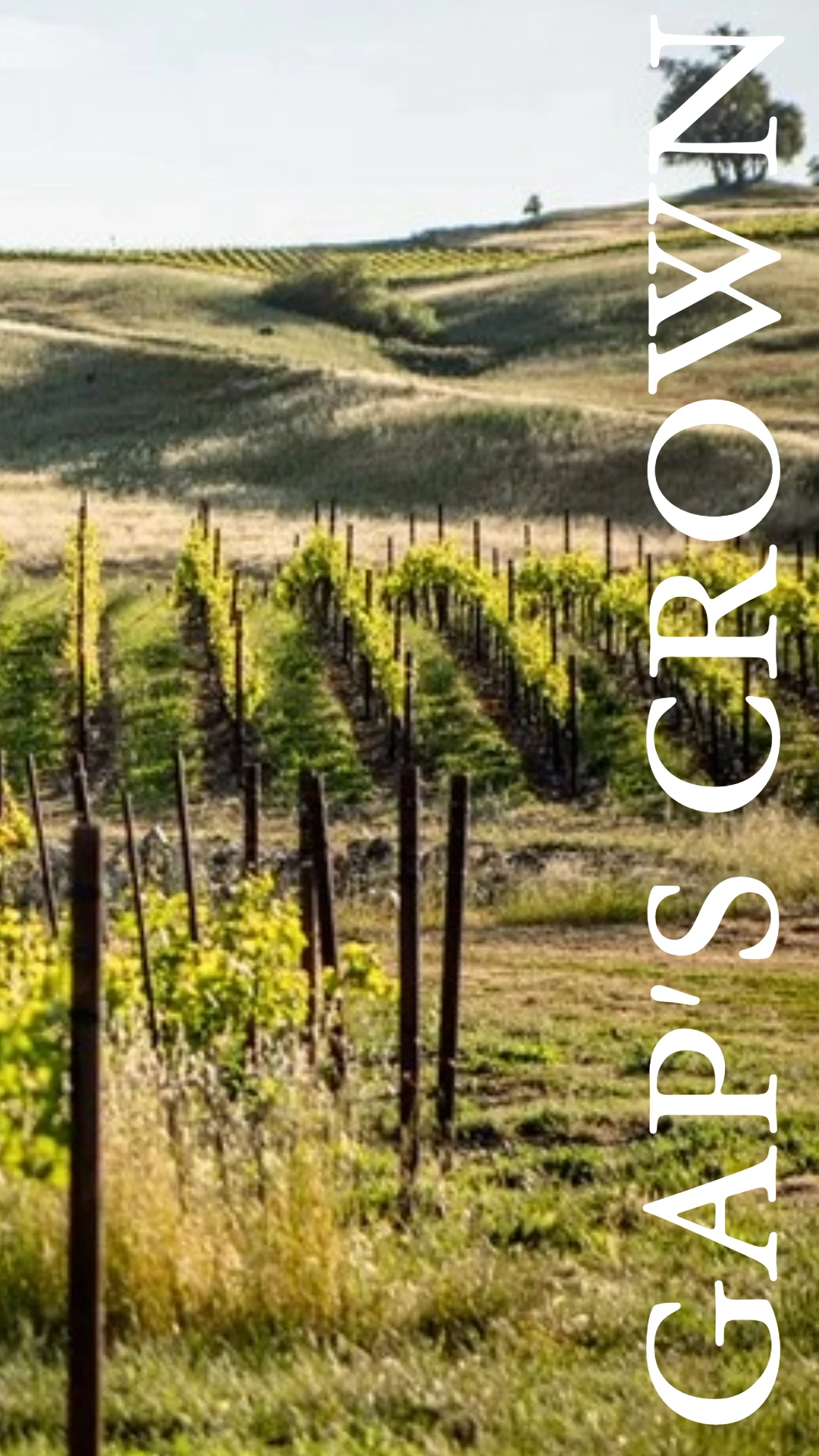 Gap's Crown Vineyard