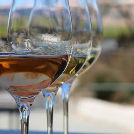 Sip into Summer with Tolosa's Seasonal Whites and Rosé