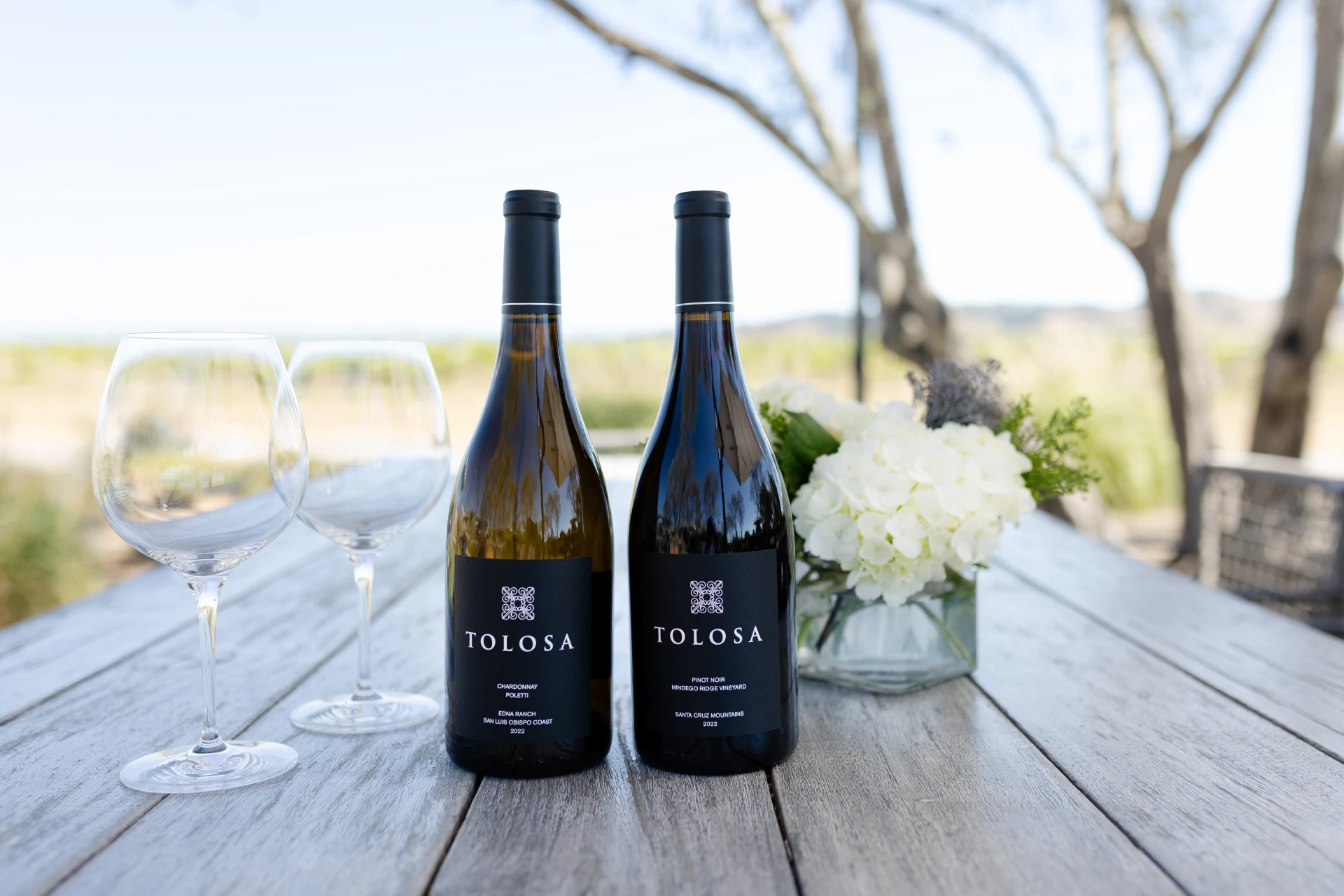 Bottles of wine from the Single Vineyards series