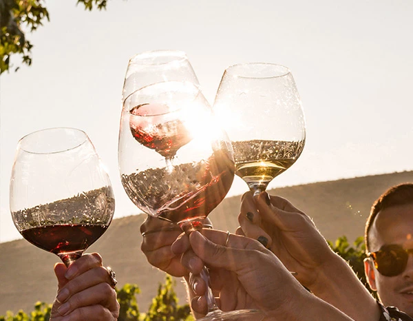 People clinking wine glasses