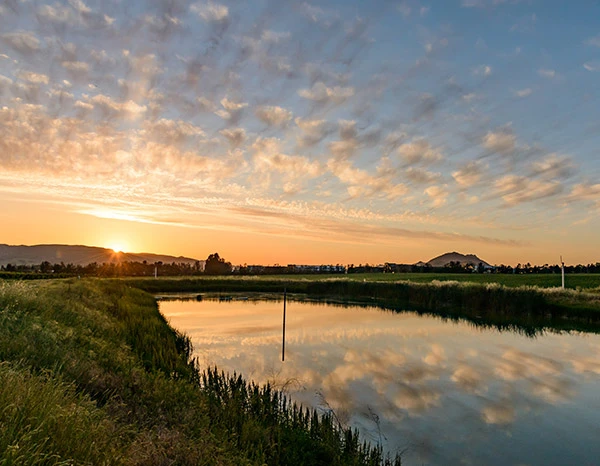 Our irrigation pond