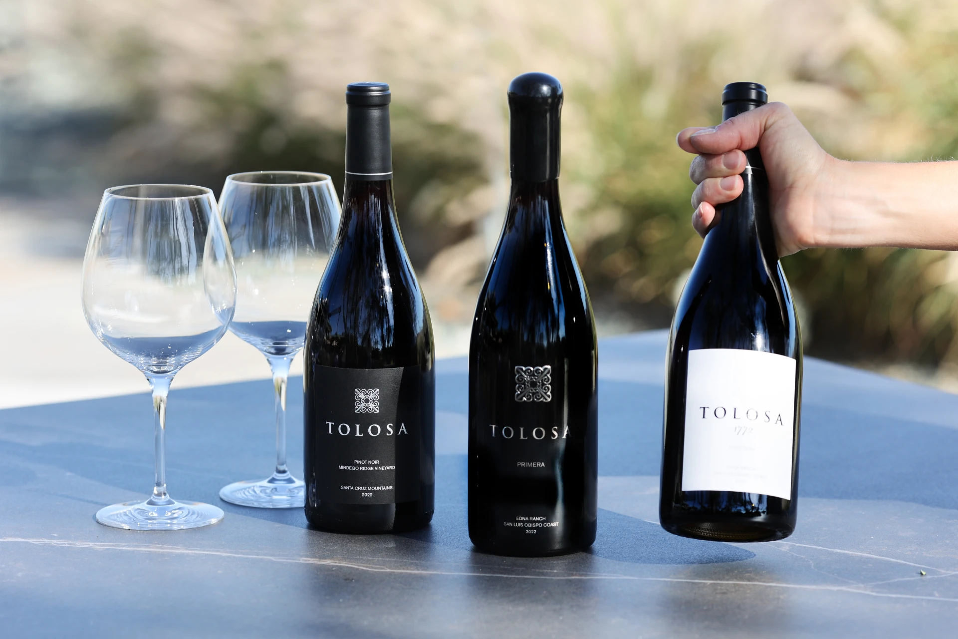 A lineup of Tolosa red wines