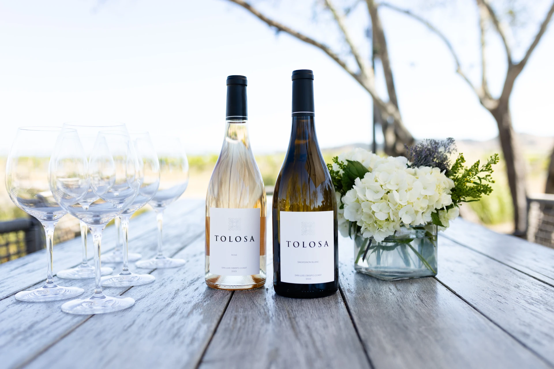 A bottle of Tolosa white wine and a rosé